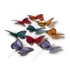 Wholesale 😉 Large Nature Center Butterflies Value Pack by Ashland® 😀 -Ashland Sales 10017012 21
