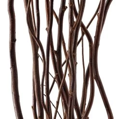 Brand new 🎉 Natural Curly Willow by Ashland® ✨ -Ashland Sales 10017457 20
