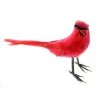 Top 10 ❤️ 24 Pack: Cardinal Bird by Ashland® 😍 -Ashland Sales 10029902