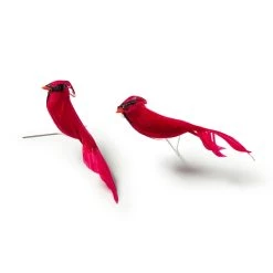 Promo ✔️ Cardinal Birds by Ashland® 🔥 -Ashland Sales 10029954 21