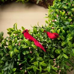 Promo ✔️ Cardinal Birds by Ashland® 🔥 -Ashland Sales 10029954 22