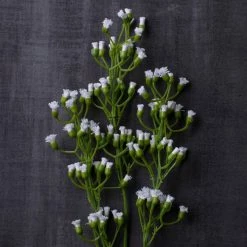 Brand new 😀 Ivory Mini Baby's Breath Spray by Ashland® 🔔 -Ashland Sales 10035159 22