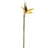 Coupon 🎁 12 Pack: Yellow Bird of Paradise Stem by Ashland® 🌟 -Ashland Sales 10066898 1