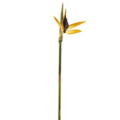 Coupon 🎁 12 Pack: Yellow Bird of Paradise Stem by Ashland® 🌟