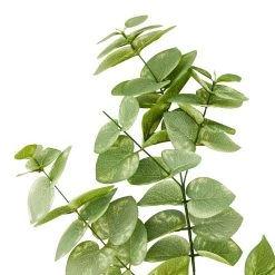 Hot Sale 🎉 Eucalyptus Branch by Ashland® 🎉