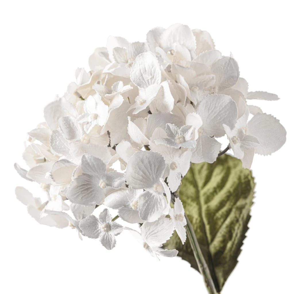 Brand new ✨ Pearl Hydrangea Stem by Ashland® 😉 6 Brand new ✨ Pearl Hydrangea Stem by Ashland® 😉 - Image 4