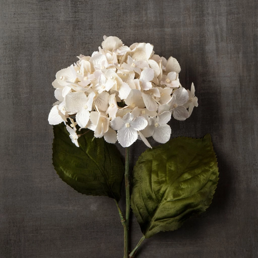 Brand new ✨ Pearl Hydrangea Stem by Ashland® 😉 5 Brand new ✨ Pearl Hydrangea Stem by Ashland® 😉 - Image 3