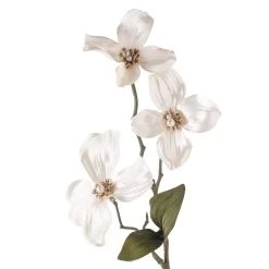 Buy β Pearl πΆ Dogwood Spray by Ashland® π 7 Buy β Pearl πΆ Dogwood Spray by Ashland® π -Ashland Sales 10110877 20