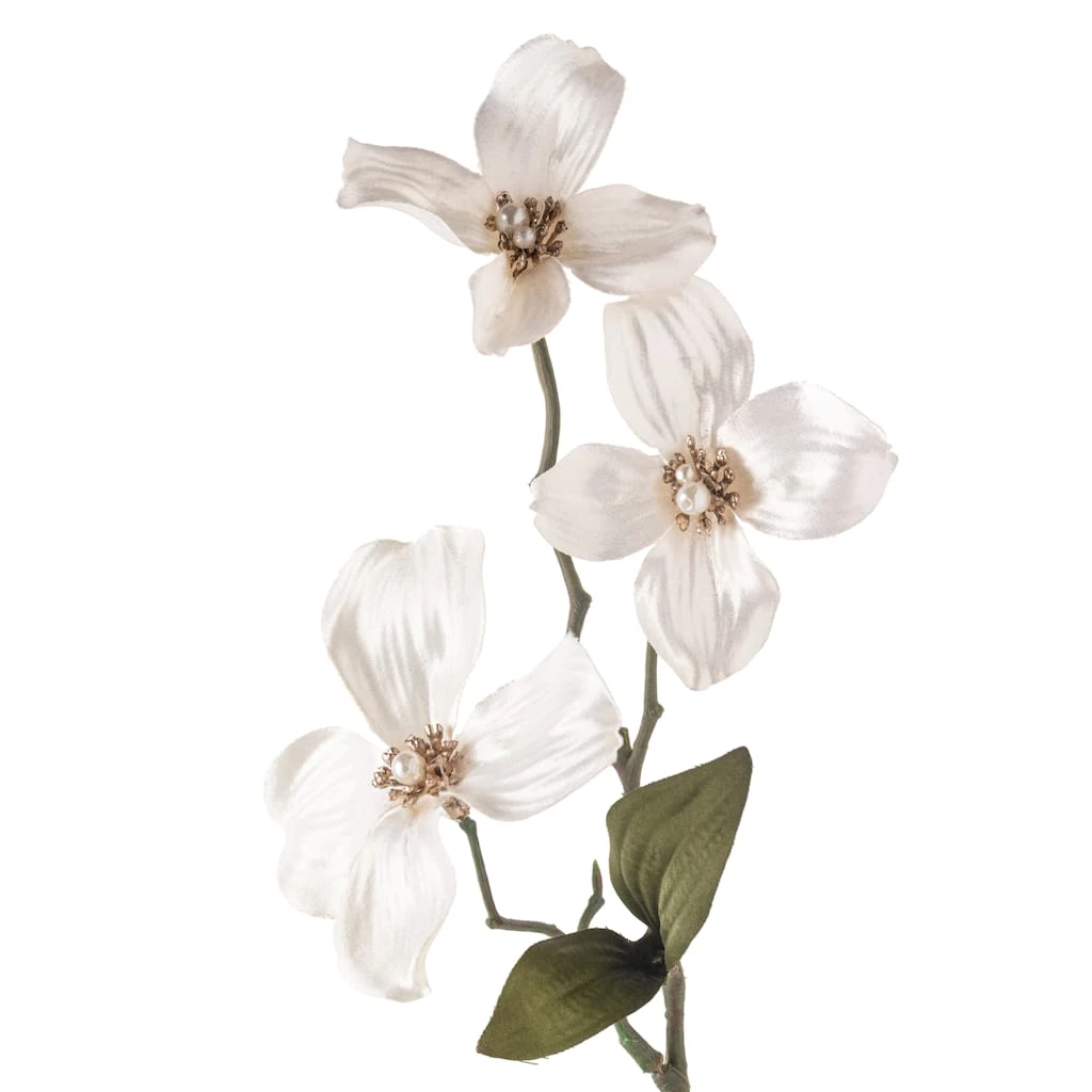 Buy β Pearl πΆ Dogwood Spray by Ashland® π 5 Buy β Pearl πΆ Dogwood Spray by Ashland® π - Image 3