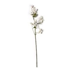 Buy β Pearl πΆ Dogwood Spray by Ashland® π