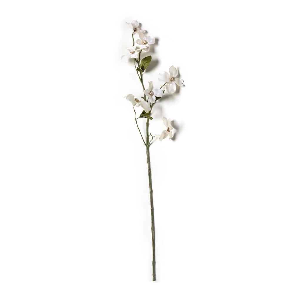 Buy β Pearl πΆ Dogwood Spray by Ashland® π 3 Buy β Pearl πΆ Dogwood Spray by Ashland® π