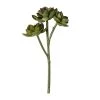 Hot Sale ⭐ Ashland® Succulent Pick 🤩 -Ashland Sales 10128870 1