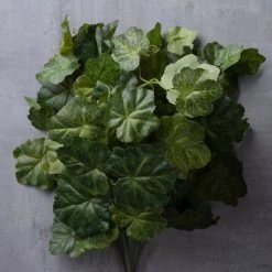 Outlet 👍 Coral Bell Bush by Ashland® 👍 -Ashland Sales 10129104 25