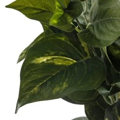 Best reviews of 🌟 Pothos Bush Real Touch™ Collection by Ashland 😀 -Ashland Sales 10131108 20