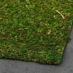 Coupon ✨ Moss Mat by Ashland® 🤩 -Ashland Sales 10135027 21