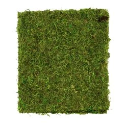 Coupon ✨ Moss Mat by Ashland® 🤩 -Ashland Sales 10135027 3
