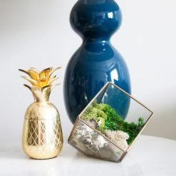 Discount 🔥 Moss Variety Pack by Ashland® 😉 -Ashland Sales 10135036 2