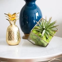 Brand new 🥰 Ashland® Reindeer Moss 👏 -Ashland Sales 10135038 4