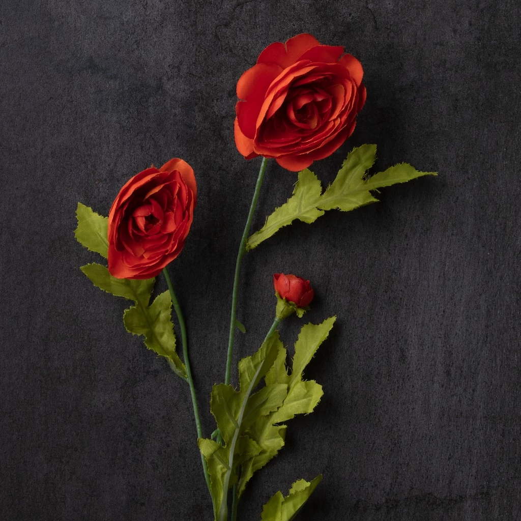 Deals 🎁 27.5" Orange Ranunculus Spray by Ashland® 🛒 4 Deals 🎁 27.5" Orange Ranunculus Spray by Ashland® 🛒 - Image 2