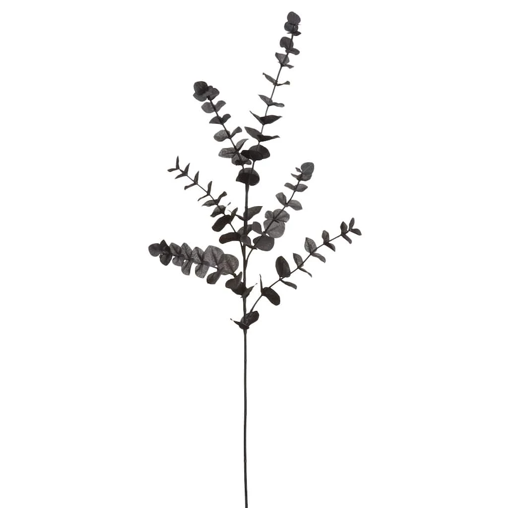 Promo ๐ 12 Pack: Black Eucalyptus Spray by Ashland® ๐งจ 3 Promo ๐ 12 Pack: Black Eucalyptus Spray by Ashland® ๐งจ