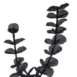 Top 10 🎁 Black Eucalyptus Spray Floral Essentials by Ashland® 👏 -Ashland Sales 10158724 20