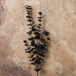 Top 10 🎁 Black Eucalyptus Spray Floral Essentials by Ashland® 👏 -Ashland Sales 10158724 22