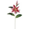 Best deal 🧨 12 Pack: Rubrum Lily Spray by Ashland® ✔️ 1 Best deal 🧨 12 Pack: Rubrum Lily Spray by Ashland® ✔️ -Ashland Sales 10161138