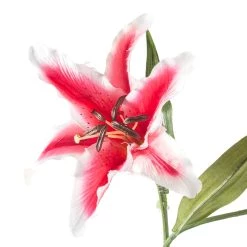 Budget ✔️ Rubrum Lily Spray by Ashland® 🎁 -Ashland Sales 10161138 20