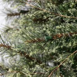 Best reviews of ✨ 7.5ft. Pre-Lit Quick Set™ Jasper Artificial 🎁 Christmas Tree, Clear Lights by Ashland® 😉 15 Best reviews of ✨ 7.5ft. Pre-Lit Quick Set™ Jasper Artificial 🎁 Christmas Tree, Clear Lights by Ashland® 😉 -Ashland Sales 10191054 13