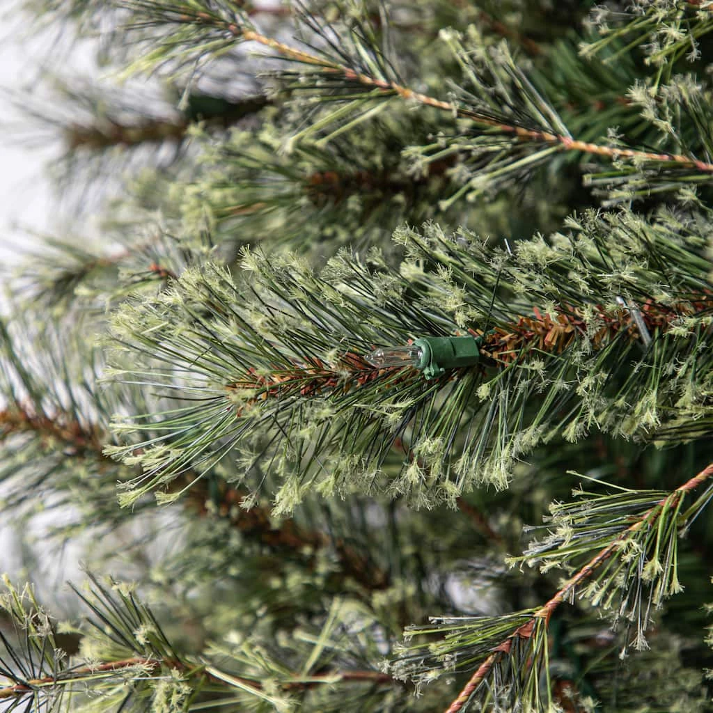 Best reviews of ✨ 7.5ft. Pre-Lit Quick Set™ Jasper Artificial 🎁 Christmas Tree, Clear Lights by Ashland® 😉 7 Best reviews of ✨ 7.5ft. Pre-Lit Quick Set™ Jasper Artificial 🎁 Christmas Tree, Clear Lights by Ashland® 😉 - Image 5