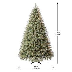 Best reviews of ✨ 7.5ft. Pre-Lit Quick Set™ Jasper Artificial 🎁 Christmas Tree, Clear Lights by Ashland® 😉 16 Best reviews of ✨ 7.5ft. Pre-Lit Quick Set™ Jasper Artificial 🎁 Christmas Tree, Clear Lights by Ashland® 😉 -Ashland Sales 10191054 14