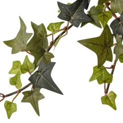 Top 10 👏 Star Ivy Bush by Ashland® 🛒 -Ashland Sales 10194917 20