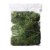 Top 10 🎁 Preserved Forest Moss by Ashland® 😍 -Ashland Sales 10204602
