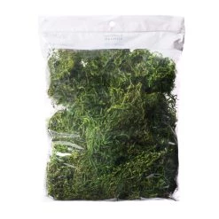 Top 10 🎁 Preserved Forest Moss by Ashland® 😍