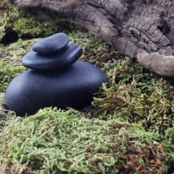 Top 10 🎁 Preserved Forest Moss by Ashland® 😍 -Ashland Sales 10204602 3