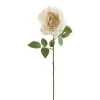 Top 10 👏 12 Pack: White Sophia Rose Stem by Ashland® 🤩 -Ashland Sales 10213470 01 1