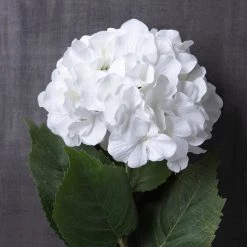 Deals 😉 Hydrangea Stem by Ashland® Classic Traditions™ 🎁 6 Deals 😉 Hydrangea Stem by Ashland® Classic Traditions™ 🎁 -Ashland Sales 10213498 22