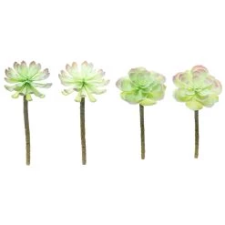 Budget ⌛ 12 Pack: Assorted Red Tipped Succulent Pick by Ashland® 😉