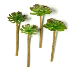 Best deal 🤩 Assorted Red Tipped Succulent Pick by Ashland® 👏