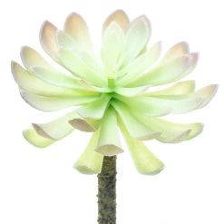 Budget ⌛ 12 Pack: Assorted Red Tipped Succulent Pick by Ashland® 😉 -Ashland Sales 10229986 3