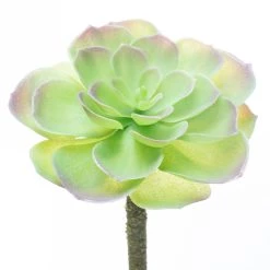 Budget ⌛ 12 Pack: Assorted Red Tipped Succulent Pick by Ashland® 😉 -Ashland Sales 10229986 4