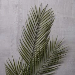Coupon 👏 Tropical Areca Palm Stem by Ashland® ⭐ -Ashland Sales 10230900 22