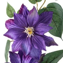 Cheap 🧨 Purple Tropical Clematis Stem by Ashland® ⭐ -Ashland Sales 10230902 20