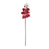 Promo ⭐ Red Tropical Orchid Stem by Ashland® 🔔 2 Promo ⭐ Red Tropical Orchid Stem by Ashland® 🔔 -Ashland Sales 10230911 21