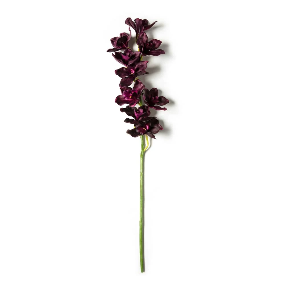 Best deal π Tropical Cymbidium Spray by Ashland® π 3 Best deal π Tropical Cymbidium Spray by Ashland® π