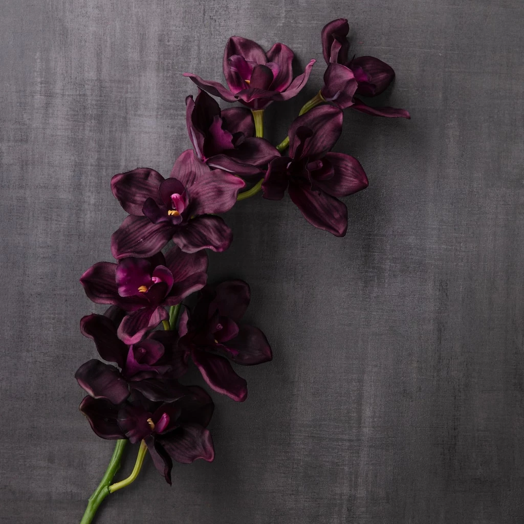 Best deal π Tropical Cymbidium Spray by Ashland® π 4 Best deal π Tropical Cymbidium Spray by Ashland® π - Image 2