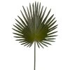 Flash Sale ✔️ 6 Pack: Green Fan Palm Stem by Ashland® ✔️ -Ashland Sales 10230923