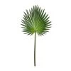 Wholesale ✨ Tropical Fan Palm Stem by Ashland® 👏 -Ashland Sales 10230923 21