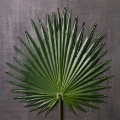 Wholesale ✨ Tropical Fan Palm Stem by Ashland® 👏 -Ashland Sales 10230923 22