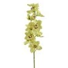 Cheapest 💯 8 Pack: Pale Green Boat Orchid Stem by Ashland® 🛒 -Ashland Sales 10230928